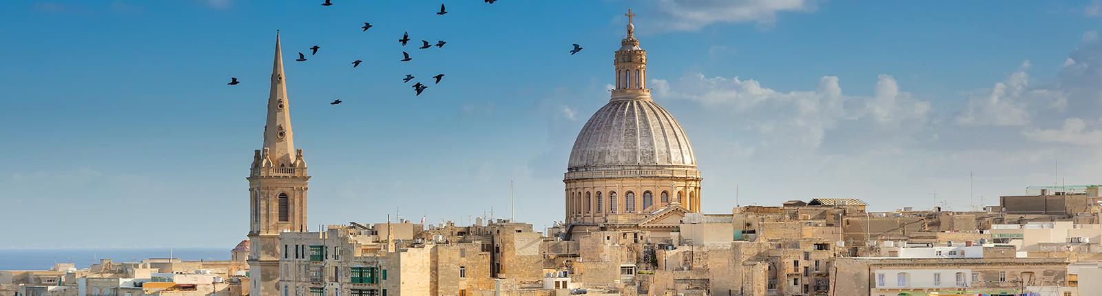 birds fly above ancient buildings in valletta malta