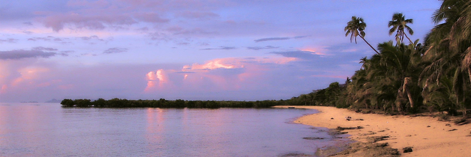 view of the beach and palm trees in lautoka fiji