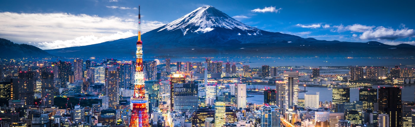 panoramic view of the city and a mountain in tokyo, japan