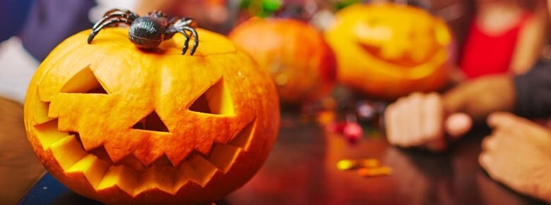 a Jack-o'-lantern with a plastic spider on top