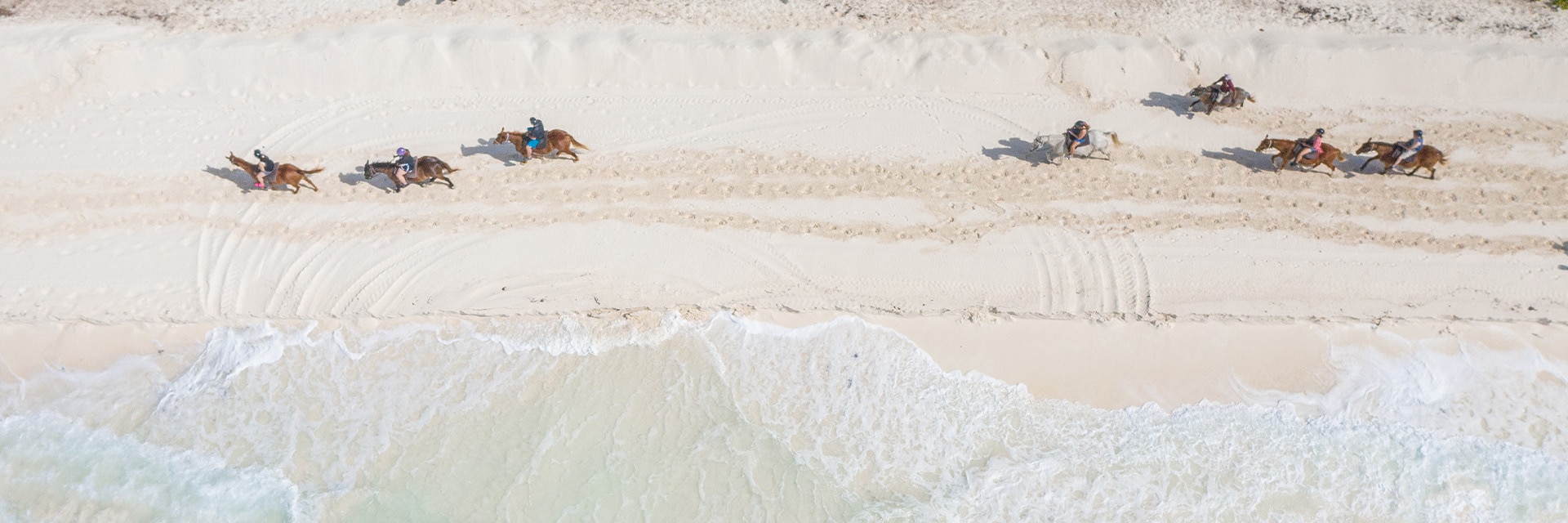 aerial view of guests on a horseback ride along the shore in half moon cay