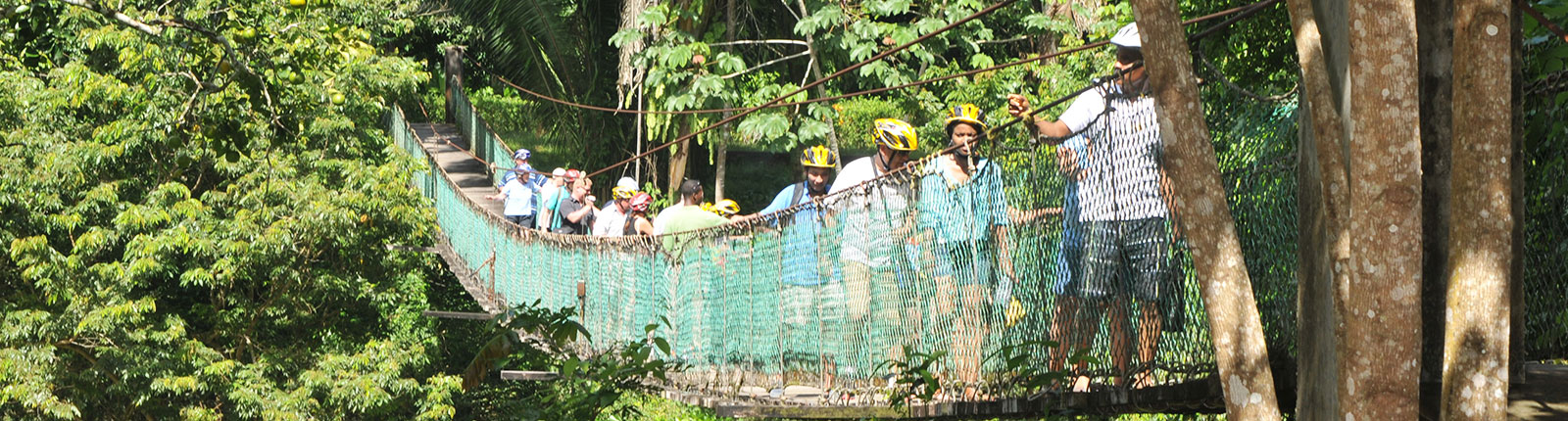 A group traversing a rope bridge in the jungle on Belize