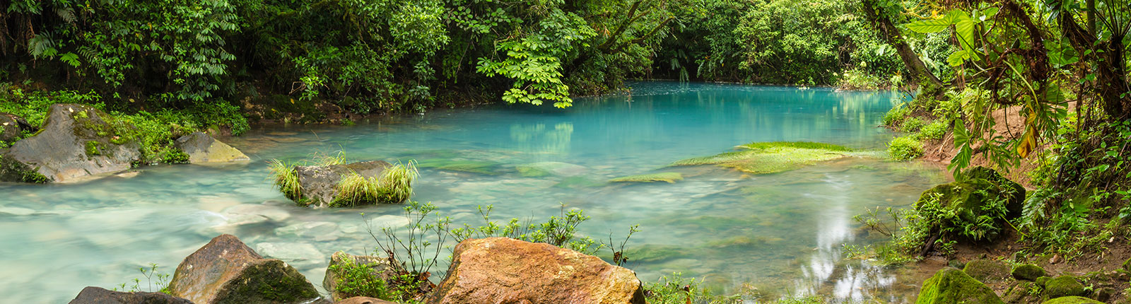 Gorgeous view of a river running through the rainforest in Limon, Costa Rica