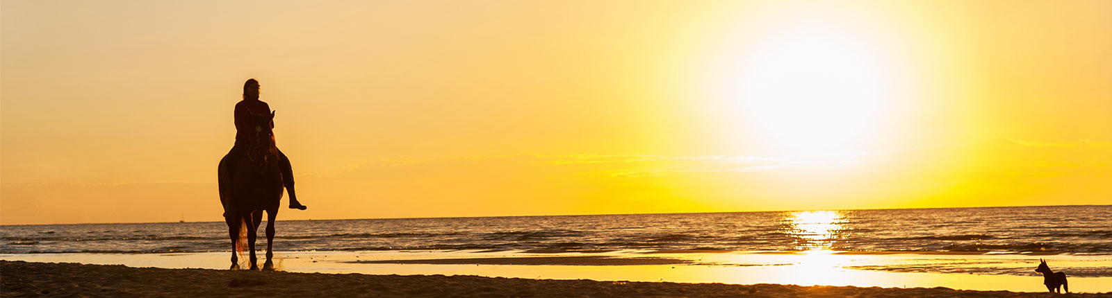 A sunset horseback ride on the beach in Ocho Rios, Jamaica