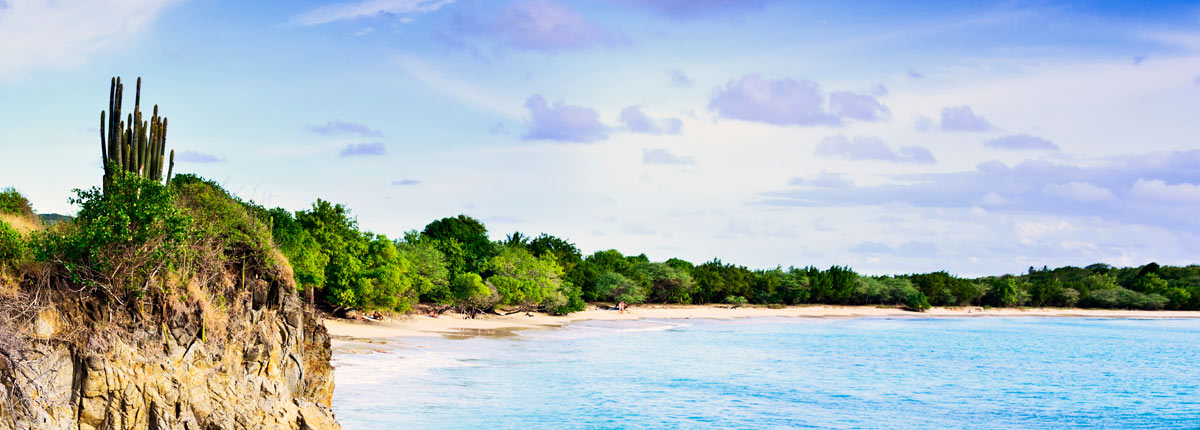 gaze at the rocky coastline of martinque