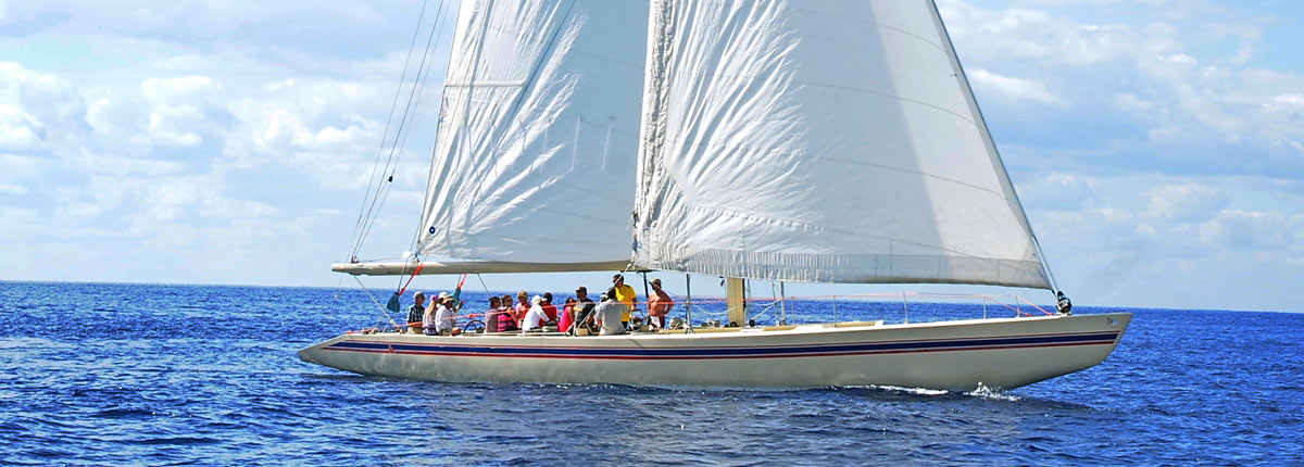 sailboat ride through the blue waters of scarborough