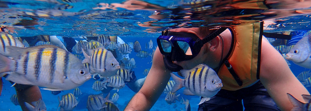 man scuba diving with fish