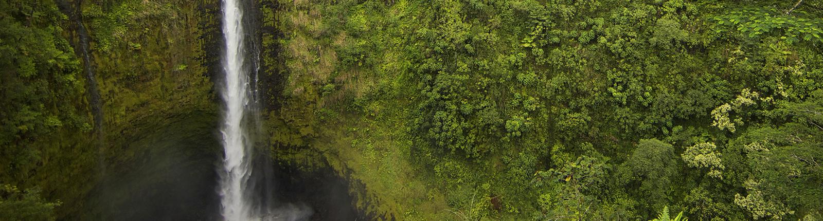 Panoramic view of Akaka falls in Hilo, Hawaii