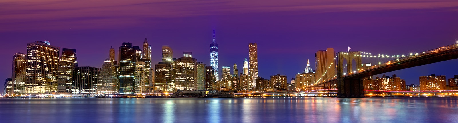 Skyline view of New York City and Brooklyn Bridge