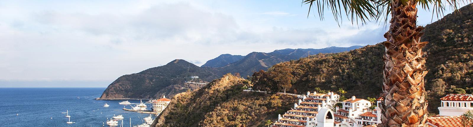 Aerial view of a mountainous region with beautiful homes overlooking the ocean in Catalina Island, California