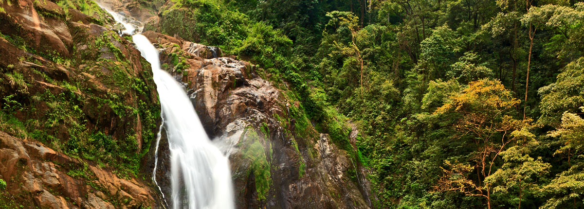 waterfall in a costa rican rainforest