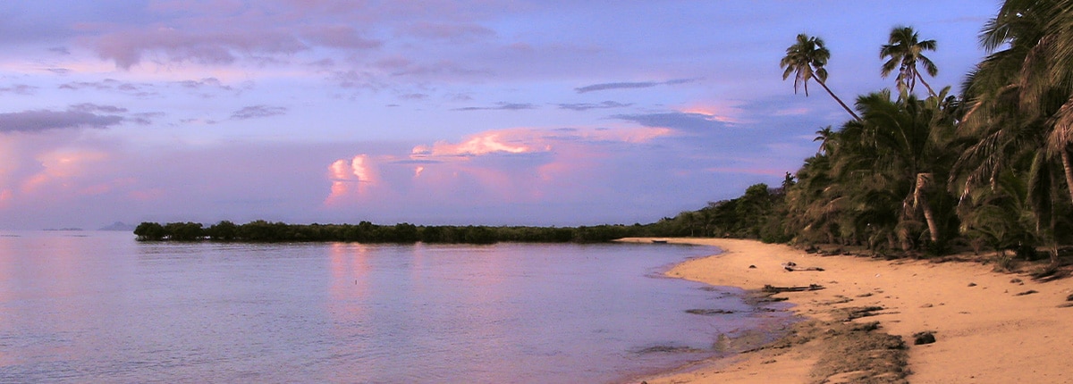 view of the beach and palm trees in lautoka fiji