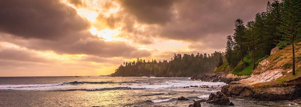 island with trees next to the ocean