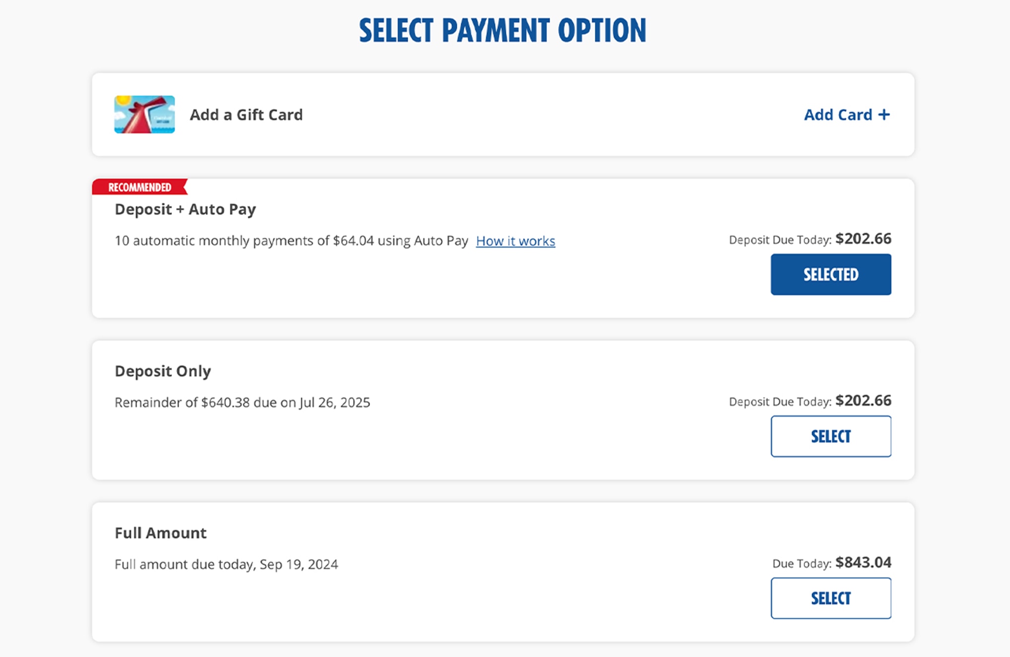 screen shot of payment options